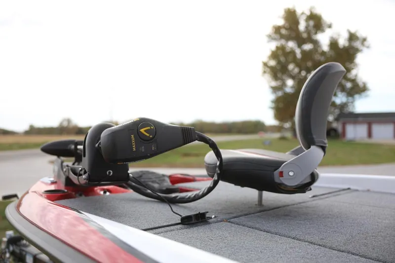 Slide: The Image of Bass Cat Bobcat 2024 - 7