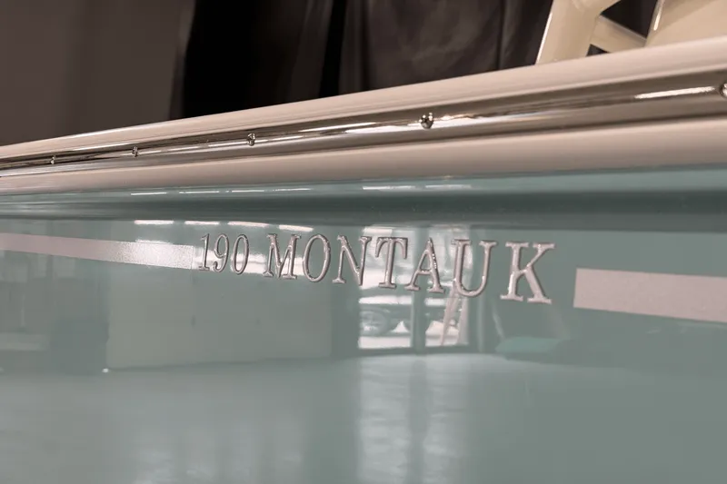 Slide: The Image of Boston Whaler 190 Montauk 2025 - 11