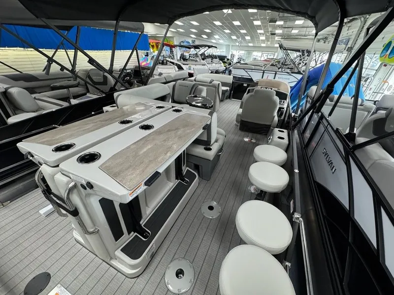 Slide: The Image of Sylvan MIRAGE X3 DLZ BAR SPX 2025 - 23