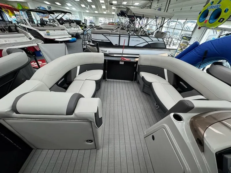 Slide: The Image of Sylvan MIRAGE X3 DLZ BAR SPX 2025 - 11