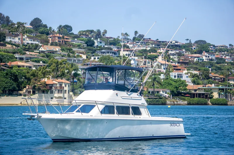 The Image of Skipjack 30 Flying Bridge 2001 - undefined