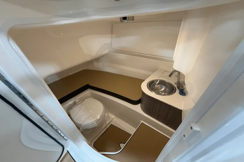 Slide: The Image of Sea Ray SDX 250 Surf 2025 - 109