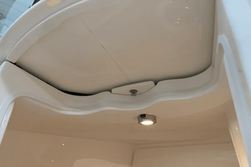 Slide: The Image of Sea Ray SDX 250 Surf 2025 - 110