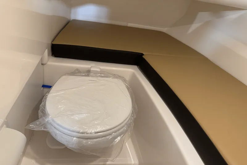 Slide: The Image of Sea Ray SDX 250 Surf 2025 - 112