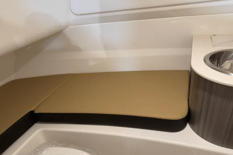 Slide: The Image of Sea Ray SDX 250 Surf 2025 - 113