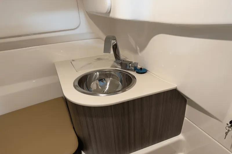 Slide: The Image of Sea Ray SDX 250 Surf 2025 - 114