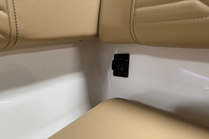 Slide: The Image of Sea Ray SDX 250 Surf 2025 - 124