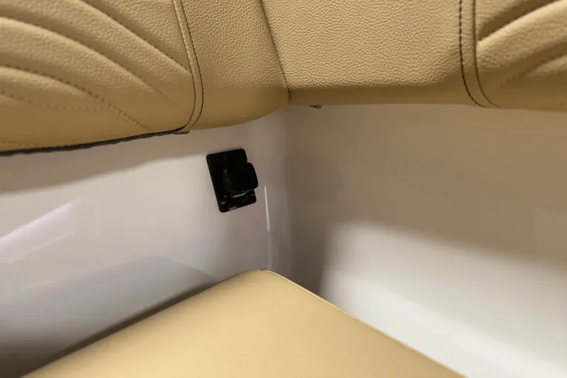 Slide: The Image of Sea Ray SDX 250 Surf 2025 - 134