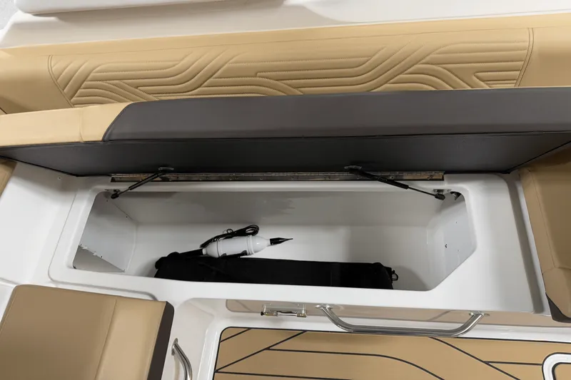 Slide: The Image of Sea Ray SDX 250 Surf 2025 - 69