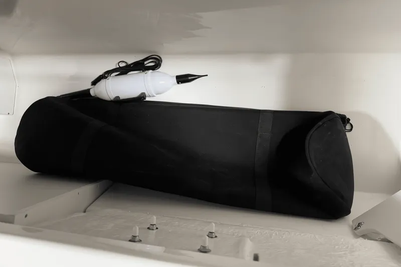 Slide: The Image of Sea Ray SDX 250 Surf 2025 - 70