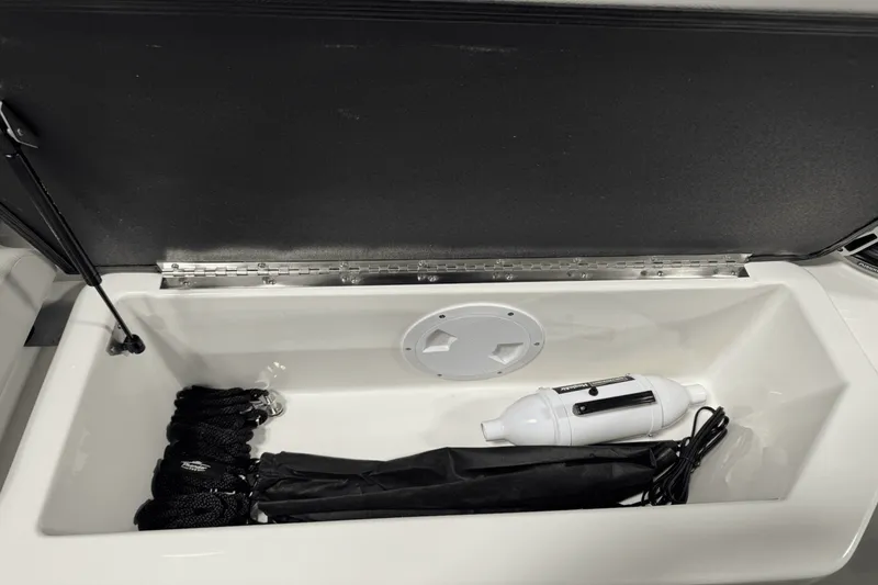 Slide: The Image of Sea Ray SDX 270 Surf 2025 - 30