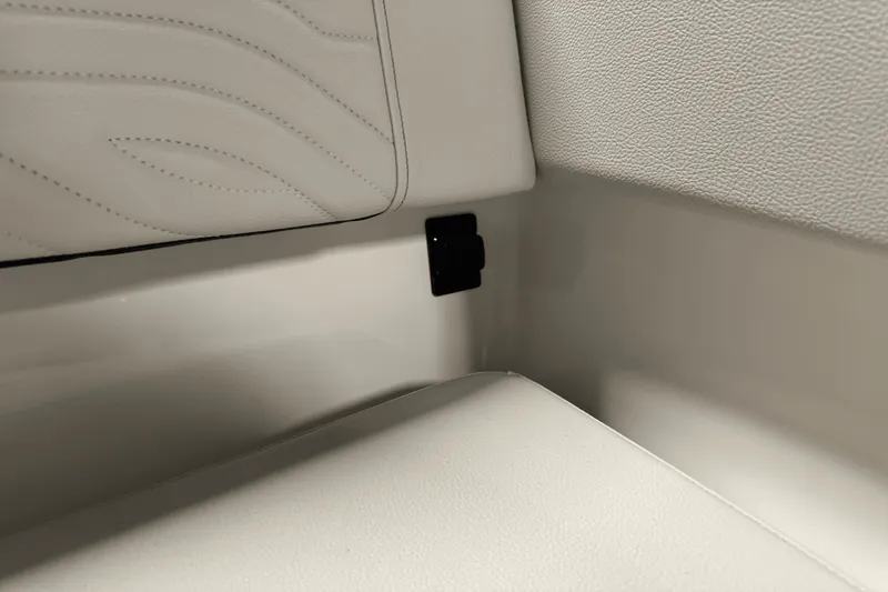 Slide: The Image of Sea Ray SDX 270 Surf 2025 - 83