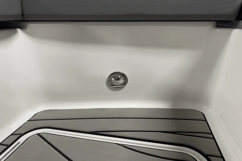 Slide: The Image of Sea Ray SDX 270 Surf 2025 - 88