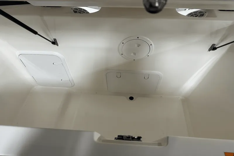 Slide: The Image of Sea Ray SPX 230 Outboard 2025 - 32