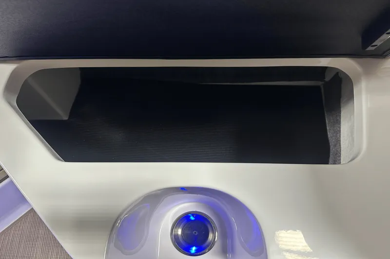 Slide: The Image of Sea Ray SPX 230 Outboard 2025 - 39