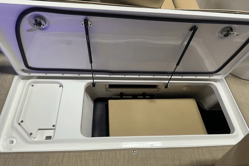 Slide: The Image of Sea Ray SPX 230 Outboard 2025 - 48