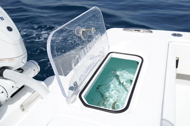 Slide: The Image of Contender 44CB CUSTOM BUILD 44' 2026 - 20