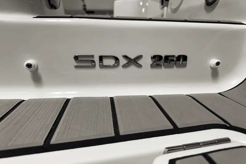 Slide: The Image of Sea Ray SDX 250 Outboard 2025 - 15