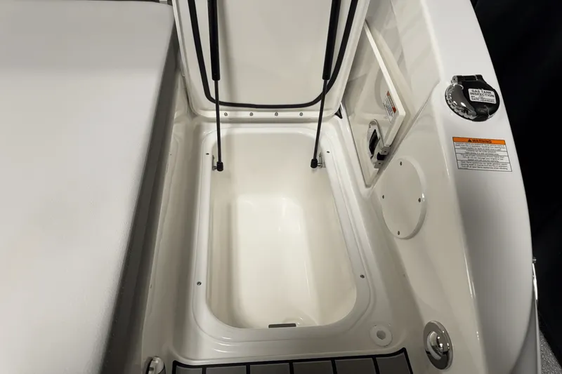 Slide: The Image of Sea Ray SDX 250 Outboard 2025 - 22