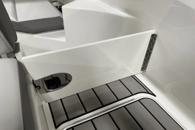 Slide: The Image of Sea Ray SDX 250 Outboard 2025 - 24