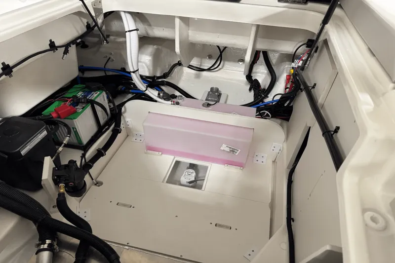 Slide: The Image of Sea Ray SDX 250 Outboard 2025 - 30