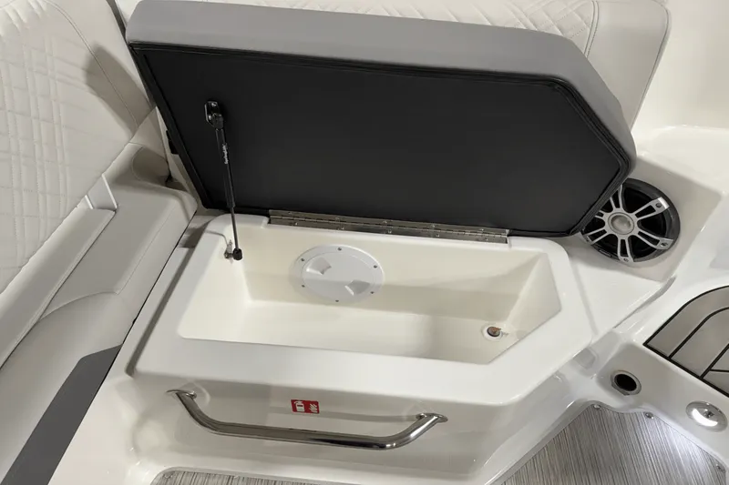 Slide: The Image of Sea Ray SDX 250 Outboard 2025 - 33