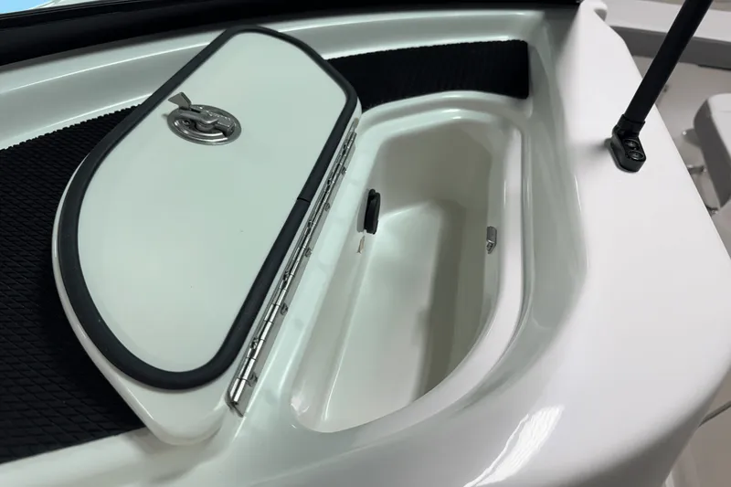 Slide: The Image of Sea Ray SDX 250 Outboard 2025 - 47