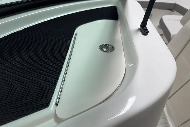 Slide: The Image of Sea Ray SDX 250 Outboard 2025 - 48