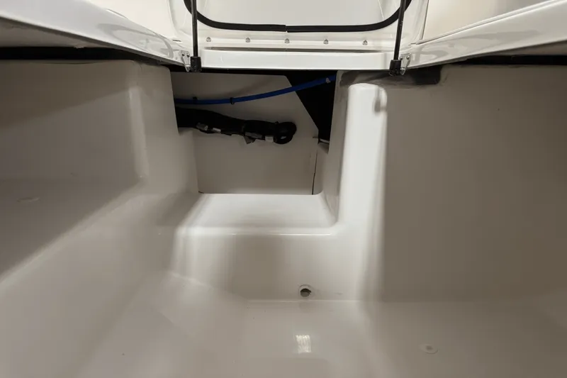 Slide: The Image of Sea Ray SDX 250 Outboard 2025 - 62