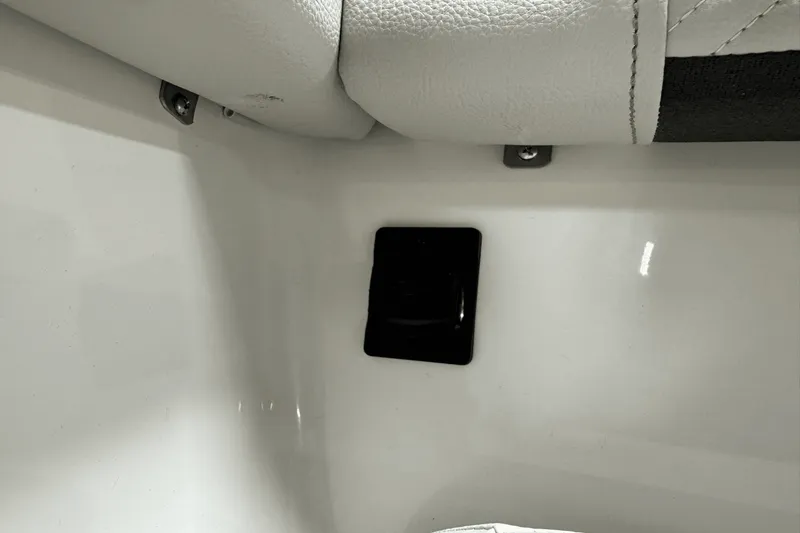 Slide: The Image of Sea Ray SDX 250 Outboard 2025 - 84