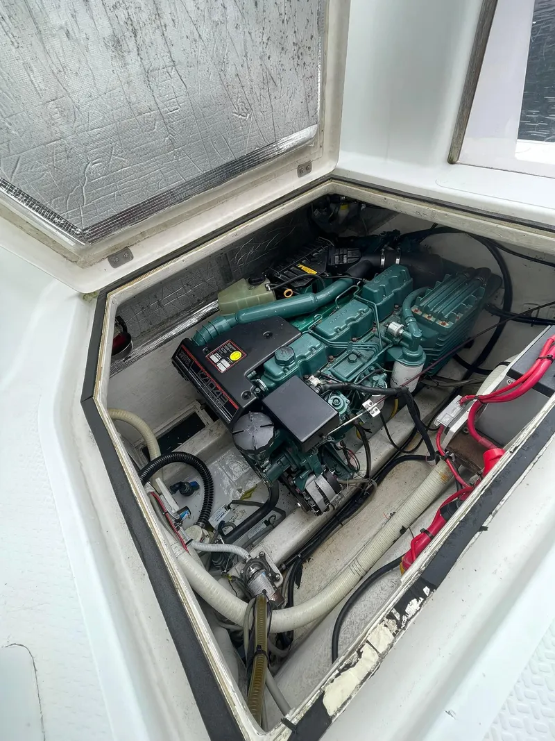 Slide: The Image of Roger Hill 11.2m Powercat 1997 - 20