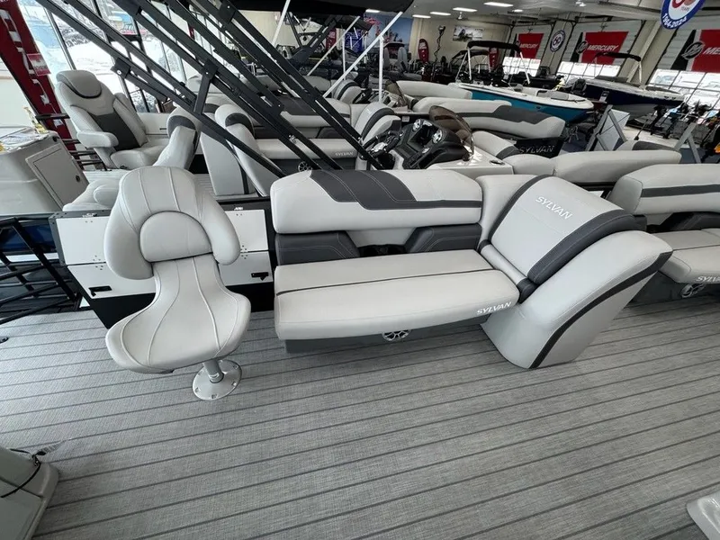 Slide: The Image of Sylvan L1 Party Fish 2025 - 13