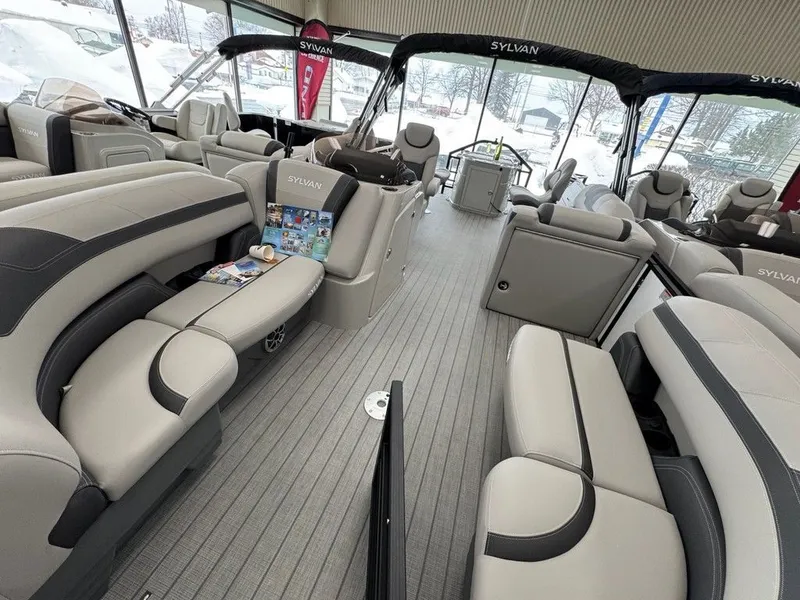 Slide: The Image of Sylvan L1 Party Fish 2025 - 2