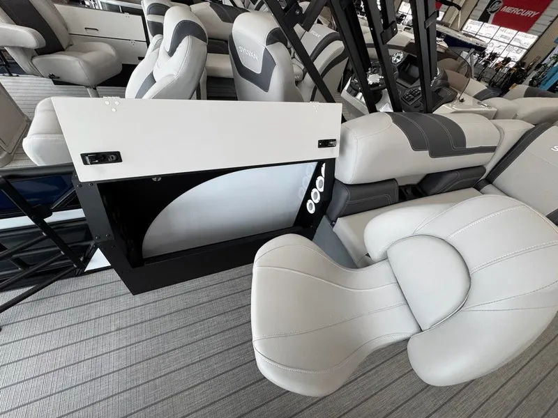 Slide: The Image of Sylvan L1 Party Fish 2025 - 20