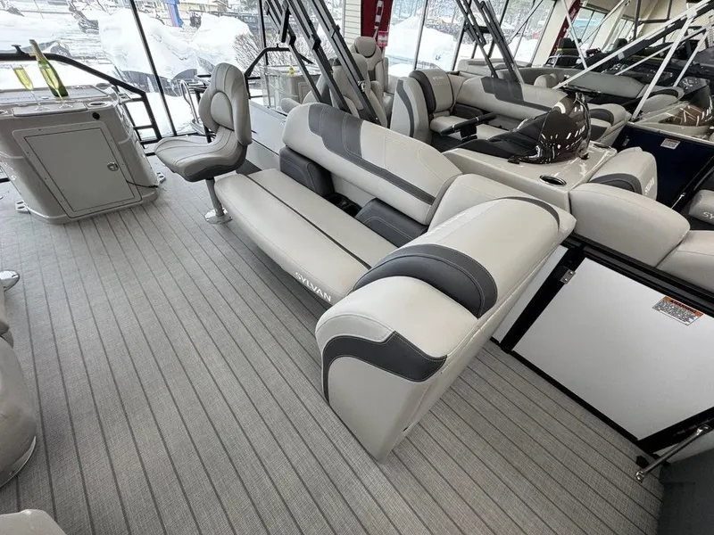 Slide: The Image of Sylvan L1 Party Fish 2025 - 7