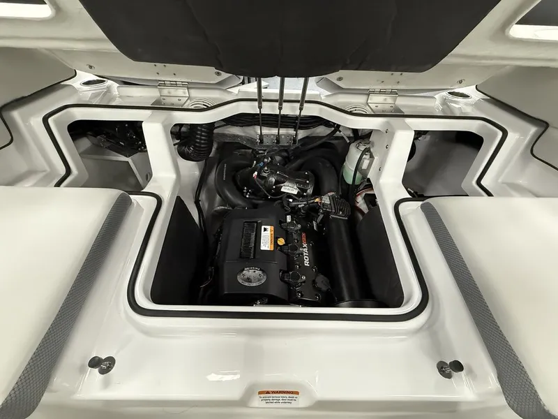 Slide: The Image of Scarab 195 SE 2025 - 10