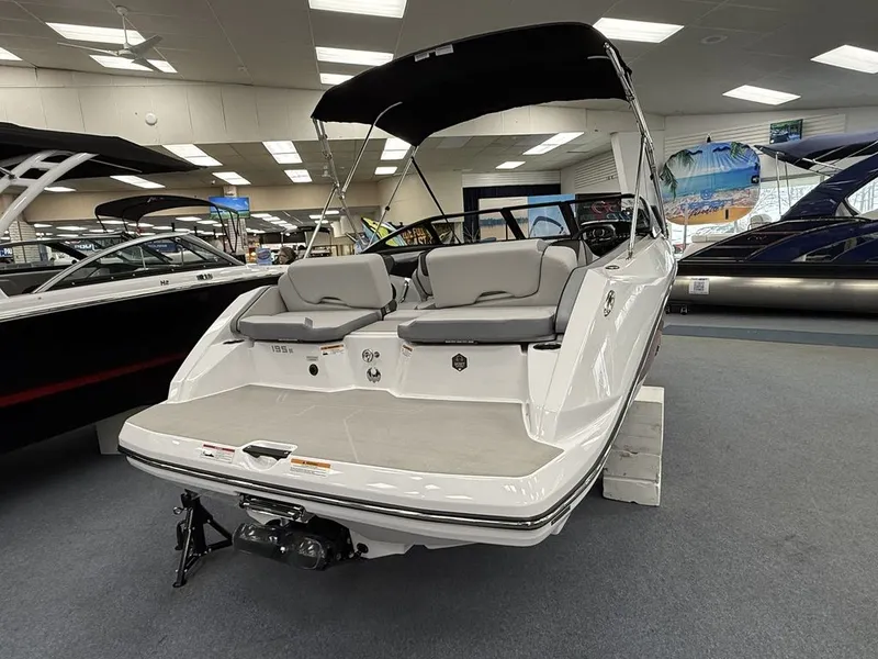 Slide: The Image of Scarab 195 SE 2025 - 3