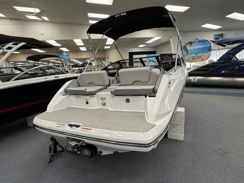 Slide: The Image of Scarab 195 SE 2025 - 3