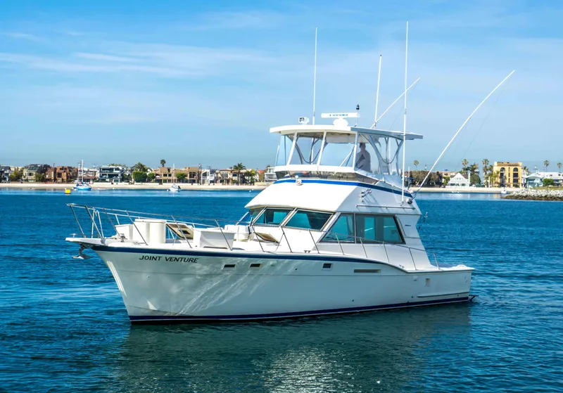 The Image of Hatteras 46 FlyBridge 1979 - 0