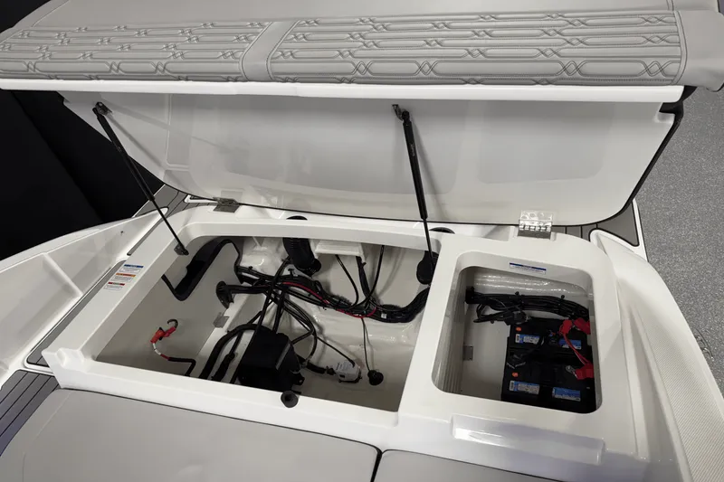 Slide: The Image of Sea Ray SPX 210 Outboard 2025 - 39