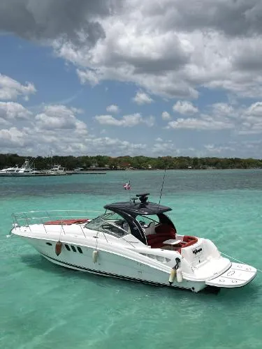 The Image of Sea Ray Sundancer 400 2007 - 2