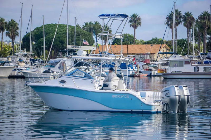 Slide: The Image of Sea Fox 256 Walk Around Pro Series 2010 - 2
