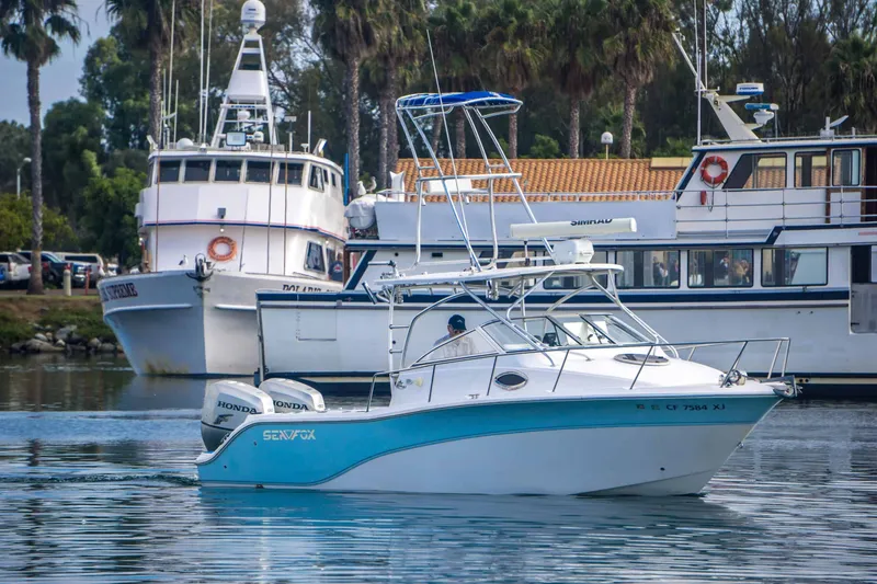 Slide: The Image of Sea Fox 256 Walk Around Pro Series 2010 - 4