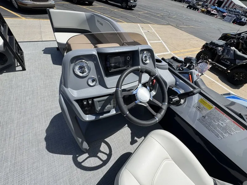 Slide: The Image of Sylvan A 22 LZ DH 2025 - 14