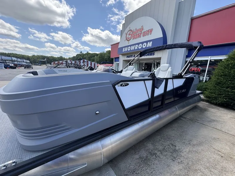 Slide: The Image of Sylvan A 22 LZ DH 2025 - 2