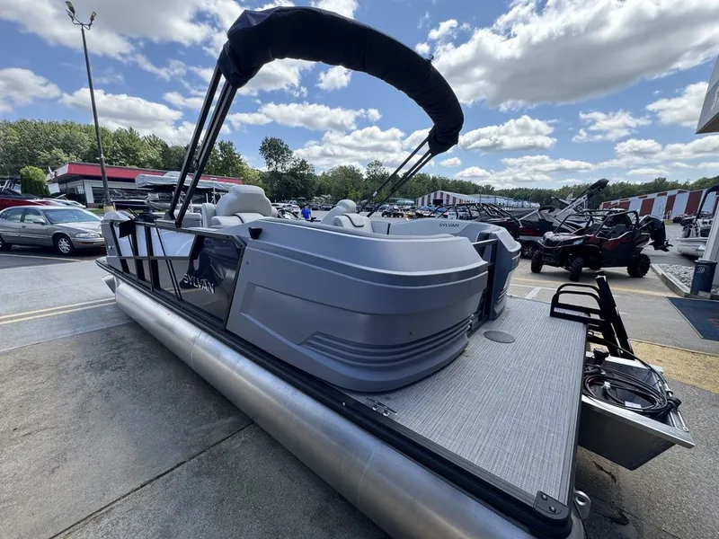 Slide: The Image of Sylvan A 22 LZ DH 2025 - 3