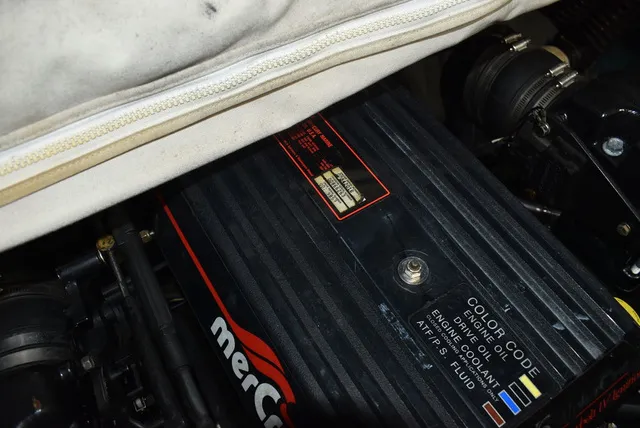 Slide: The Image of Larson SEI 200 BR 1993 - 26