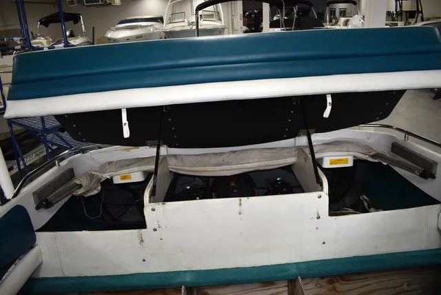 Slide: The Image of Larson SEI 200 BR 1993 - 22