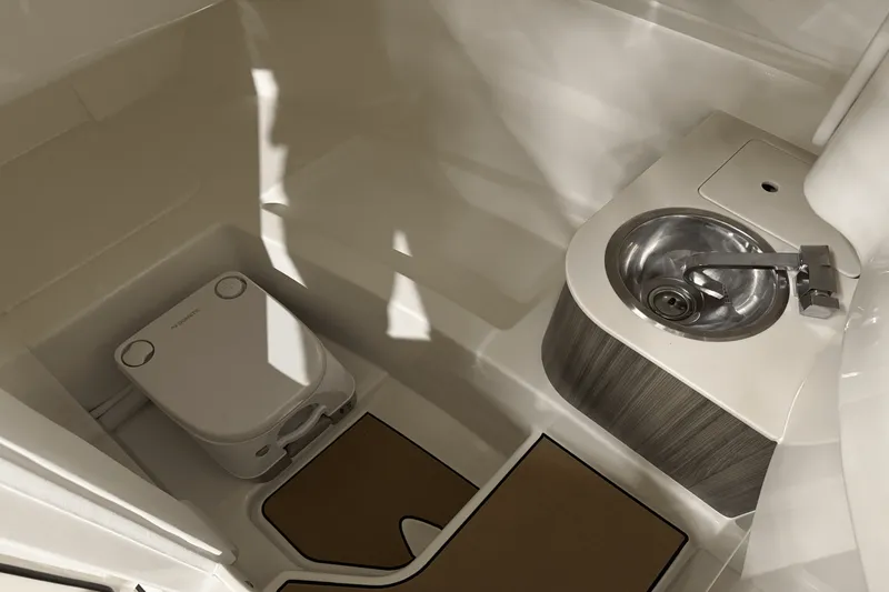 Slide: The Image of Sea Ray 250 SDX 2025 - 28