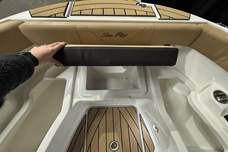 Slide: The Image of Sea Ray 250 SDX 2025 - 41